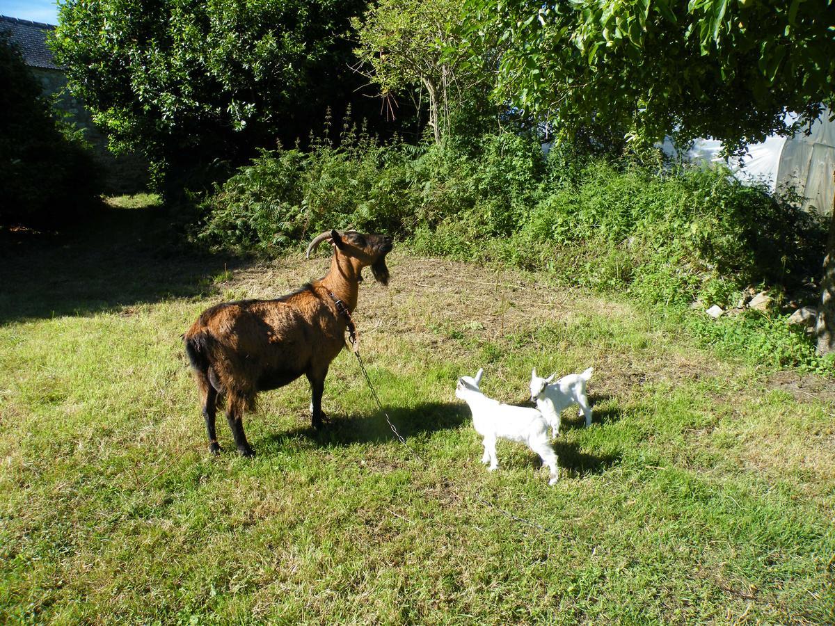 La Ferme Du Bout Du Monde Bed and Breakfast Plogoff Zewnętrze zdjęcie